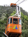 img 1312